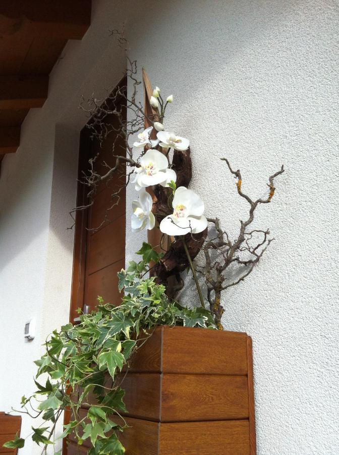 B&B Aria D'Argento & Relax Home Trento Exterior foto